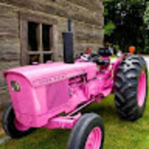 Meet your Posher, Dana